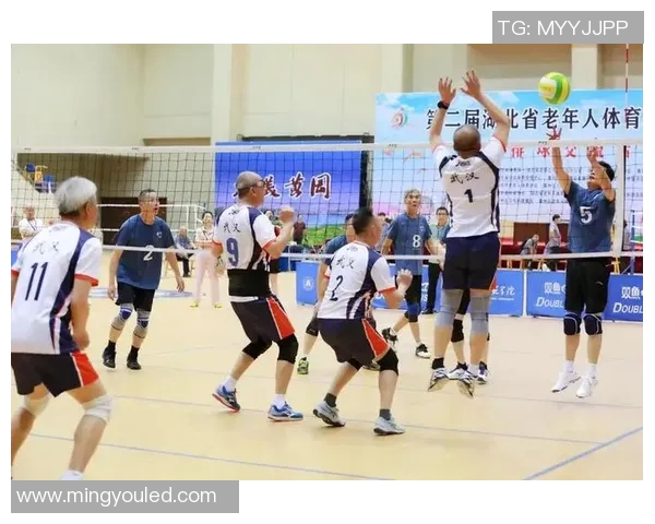 武汉排球队聚焦排球专题与欧冠足球的精彩交融与发展探讨