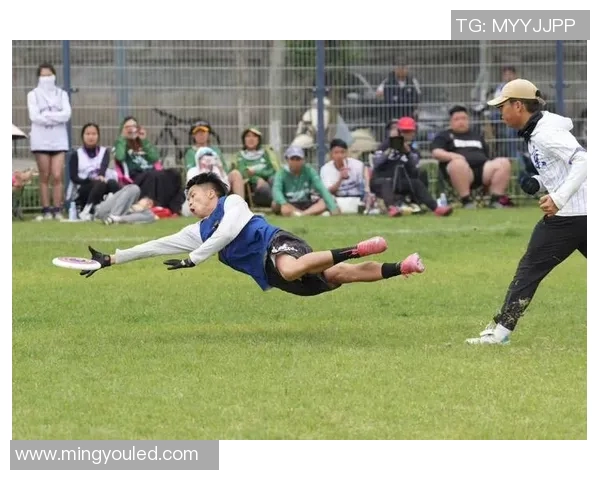 运动飞盘节奏排行榜揭晓北京飞盘队荣登第十名展现实力与风采