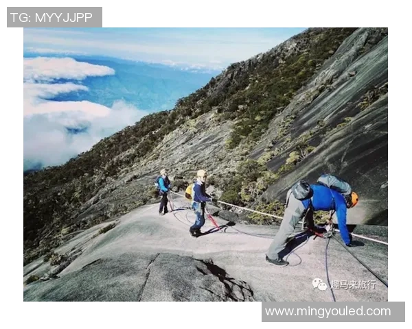武汉极限运动队的意识与挑战探讨:极限运动的精神与文化分析实时数据